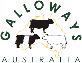 Canberra Show judging times